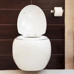 Chaise-Anglaise-1048B